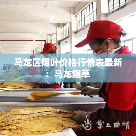马龙区烟叶价格行情表最新：马龙烟草 