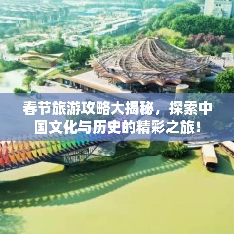 还朴反古 第2页