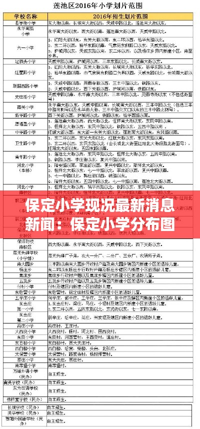 保定小学现况最新消息新闻：保定小学分布图 