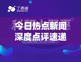 今日热点新闻深度点评速递