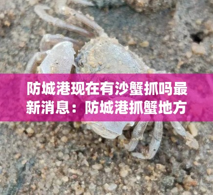 彬彬有礼 第2页