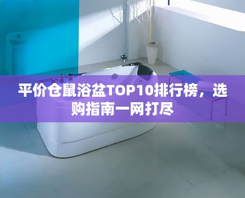 平价仓鼠浴盆TOP10排行榜，选购指南一网打尽