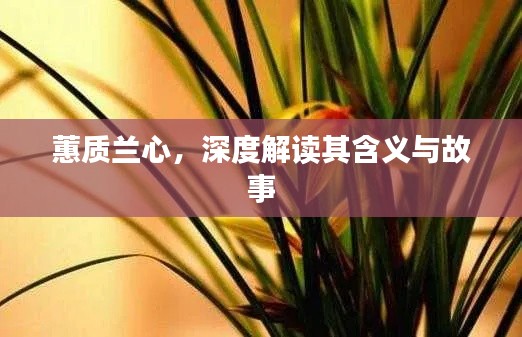 蕙质兰心，深度解读其含义与故事