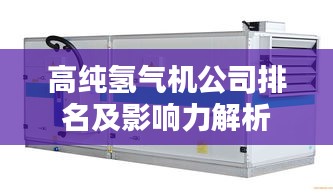 高纯氢气机公司排名及影响力解析