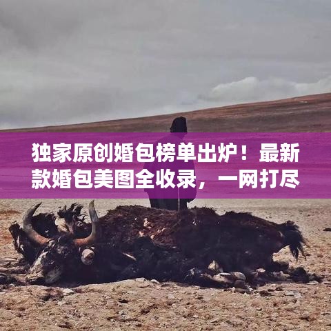 独家原创婚包榜单出炉！最新款婚包美图全收录，一网打尽时尚之选！