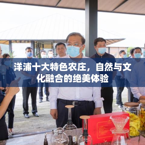 洋浦十大特色农庄，自然与文化融合的绝美体验