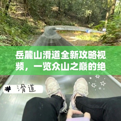 岳麓山滑道全新攻略视频，一览众山之巅的绝佳体验