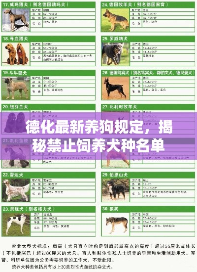 牛郎织女 第2页