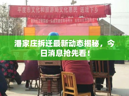 潘家庄拆迁最新动态揭秘，今日消息抢先看！