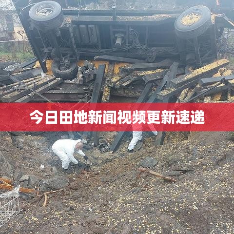 今日田地新闻视频更新速递