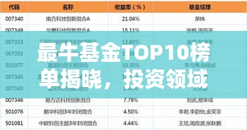 最牛基金TOP10榜单揭晓，投资领域佼佼者大揭秘！