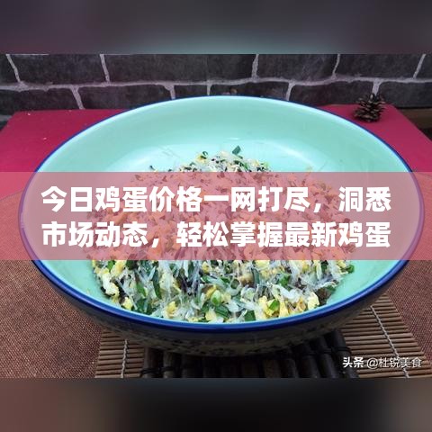 今日鸡蛋价格一网打尽，洞悉市场动态，轻松掌握最新鸡蛋价格信息
