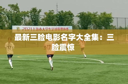 最新三脸电影名字大全集：三脸震惊 