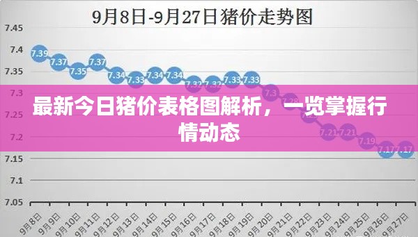 最新今日猪价表格图解析，一览掌握行情动态