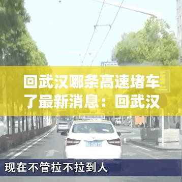 回武汉哪条高速堵车了最新消息：回武汉下高速需要什么证明 
