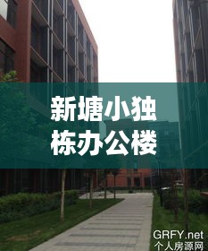 新塘小独栋办公楼出售最新消息：新塘整栋出售 
