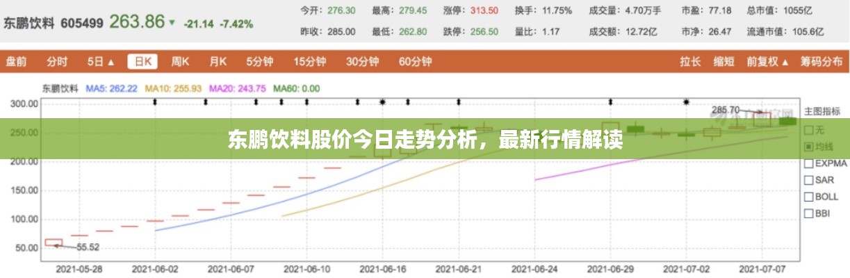 东鹏饮料股价今日走势分析，最新行情解读
