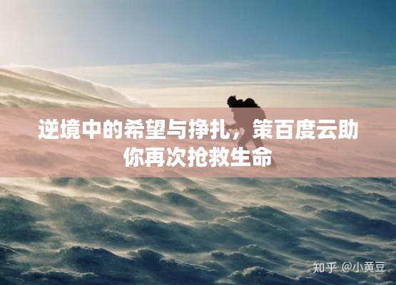 温柔敦厚 第3页
