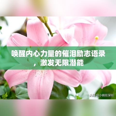 唤醒内心力量的催泪励志语录，激发无限潜能