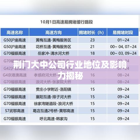 荆门大中公司行业地位及影响力揭秘
