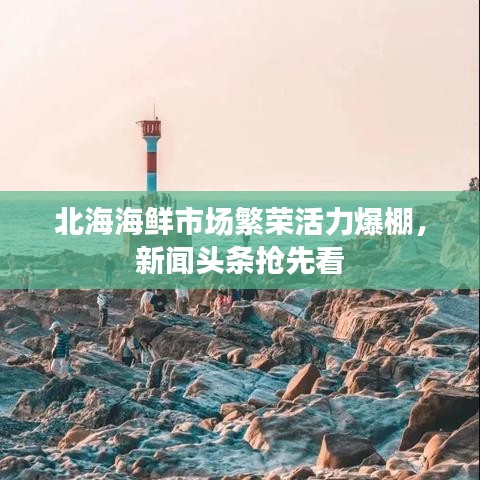 北海海鲜市场繁荣活力爆棚，新闻头条抢先看