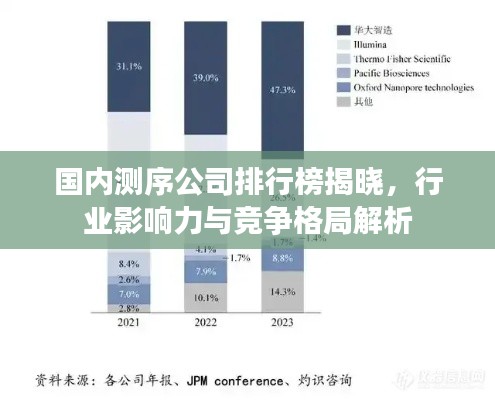 国内测序公司排行榜揭晓，行业影响力与竞争格局解析