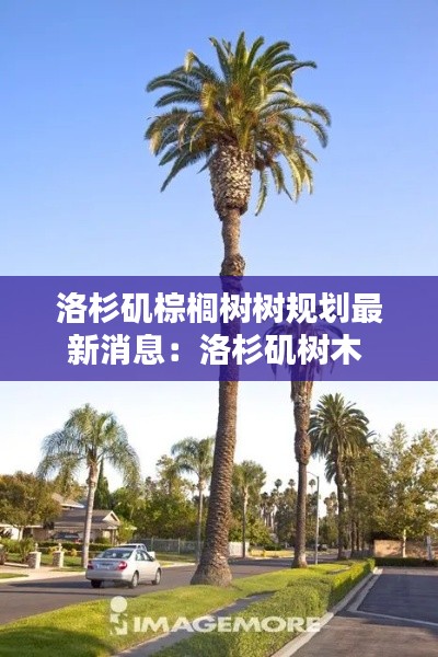 母凭子贵 第2页