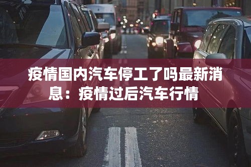 疫情国内汽车停工了吗最新消息：疫情过后汽车行情 
