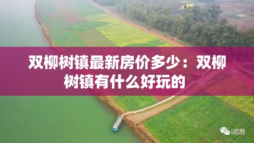 双柳树镇最新房价多少：双柳树镇有什么好玩的 