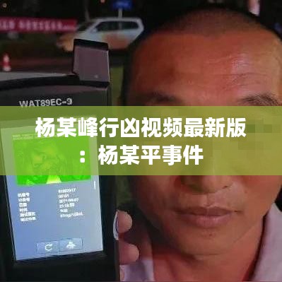杨某峰行凶视频最新版：杨某平事件 