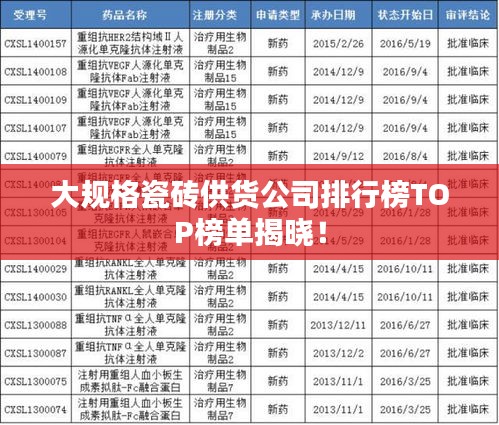 大规格瓷砖供货公司排行榜TOP榜单揭晓！