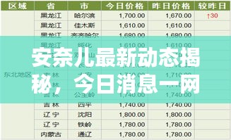 安奈儿最新动态揭秘，今日消息一网打尽