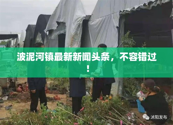 波泥河镇最新新闻头条，不容错过！