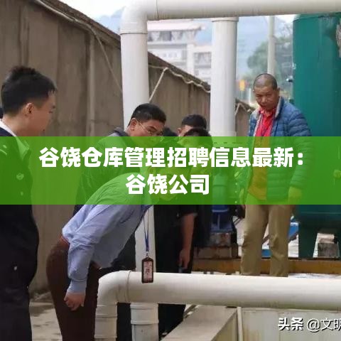 谷饶仓库管理招聘信息最新：谷饶公司 