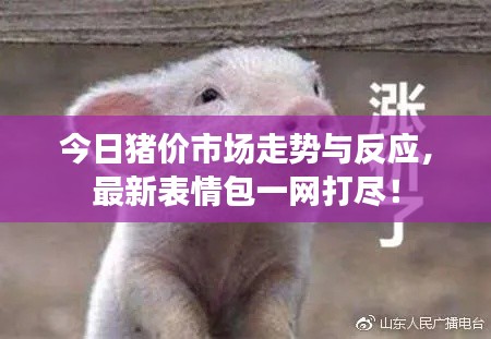 今日猪价市场走势与反应，最新表情包一网打尽！