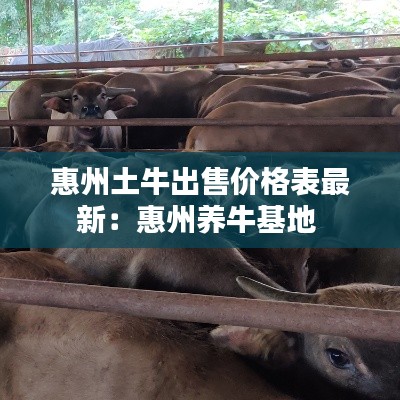 惠州土牛出售价格表最新：惠州养牛基地 