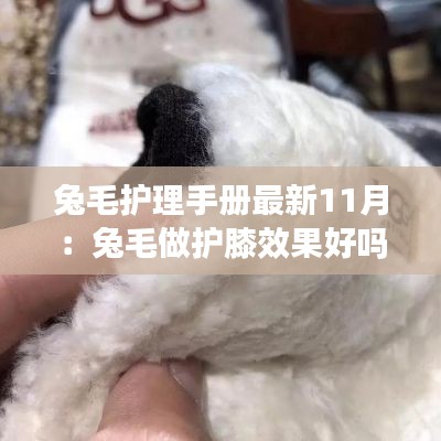 兔毛护理手册最新11月：兔毛做护膝效果好吗 
