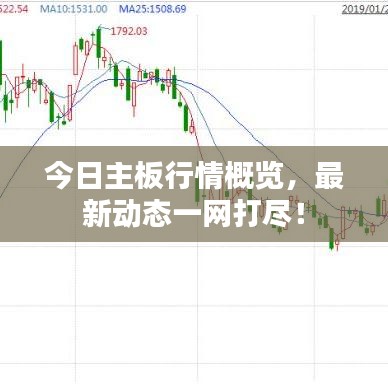 今日主板行情概览，最新动态一网打尽！