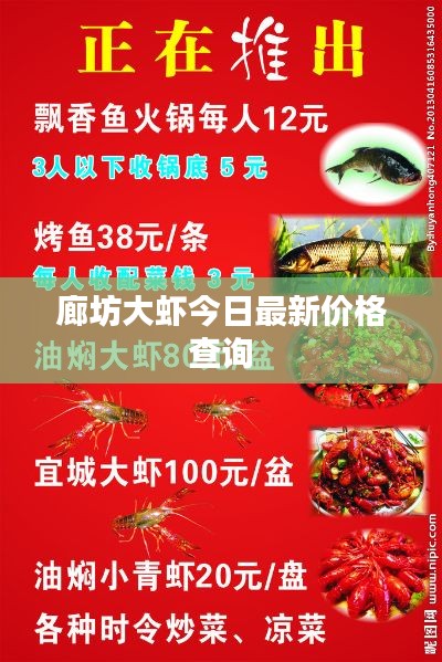 廊坊大虾今日最新价格查询