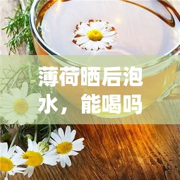 薄荷晒后泡水，能喝吗？探讨健康饮用新姿势！