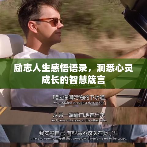 励志人生感悟语录，洞悉心灵成长的智慧箴言