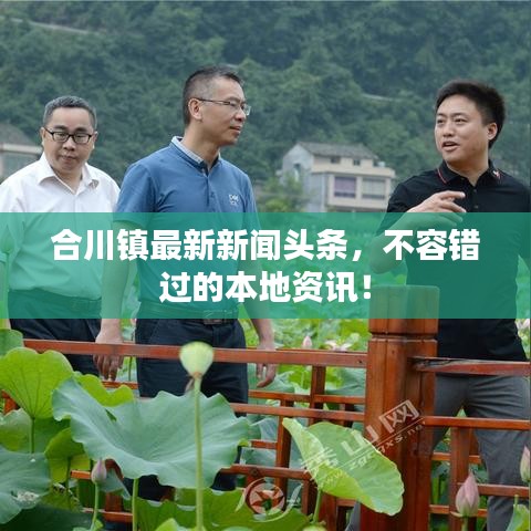 合川镇最新新闻头条，不容错过的本地资讯！