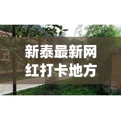 新泰最新网红打卡地方有哪些：新泰游玩好去处 