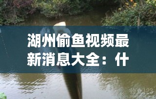 嘴是两张皮 第2页