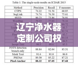 辽宁净水器定制公司权威排名榜单揭晓！