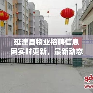 延津县物业招聘信息网实时更新，最新动态速递