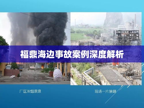 福鼎海边事故案例深度解析