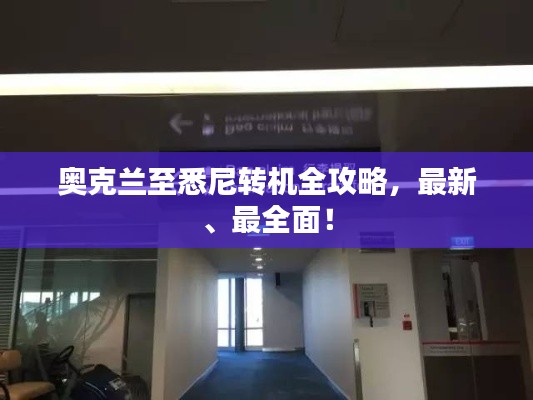 奥克兰至悉尼转机全攻略，最新、最全面！