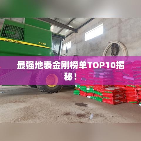 最强地表金刚榜单TOP10揭秘！