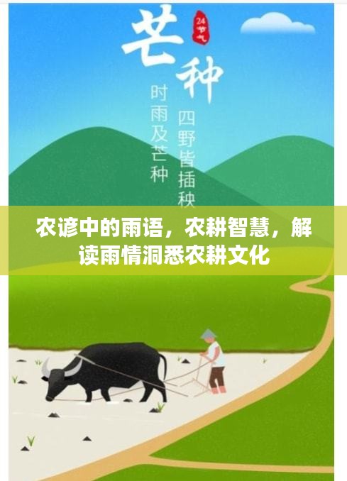 农谚中的雨语，农耕智慧，解读雨情洞悉农耕文化
